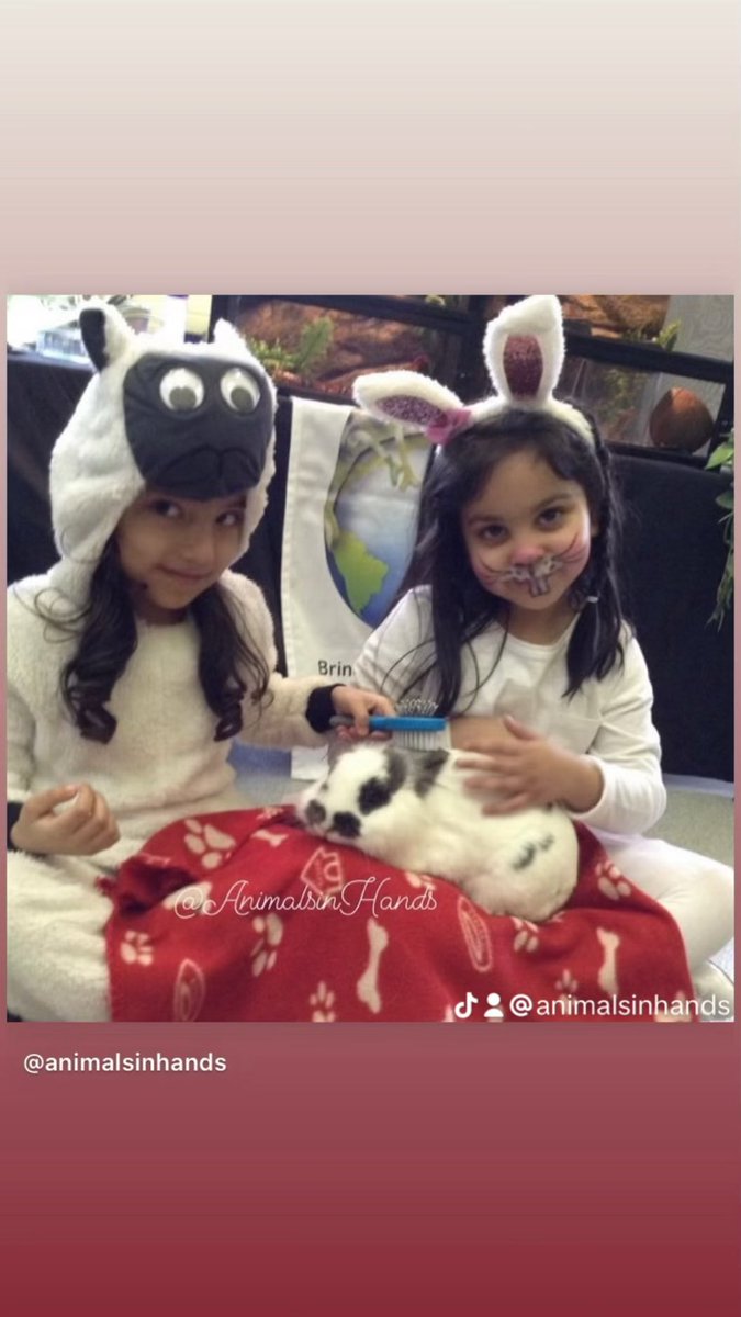 Animal themed Parties

#AnimalManUK  #animalbirthdayparty #animalsinhandsuk #animalmanwestmidlands #animalencounteruk  #birthdaypartyideas
#animalsinhandsuk  #wildscience  #exoticzoo  #zootoyou #animalencountersuk animalsinhands.com