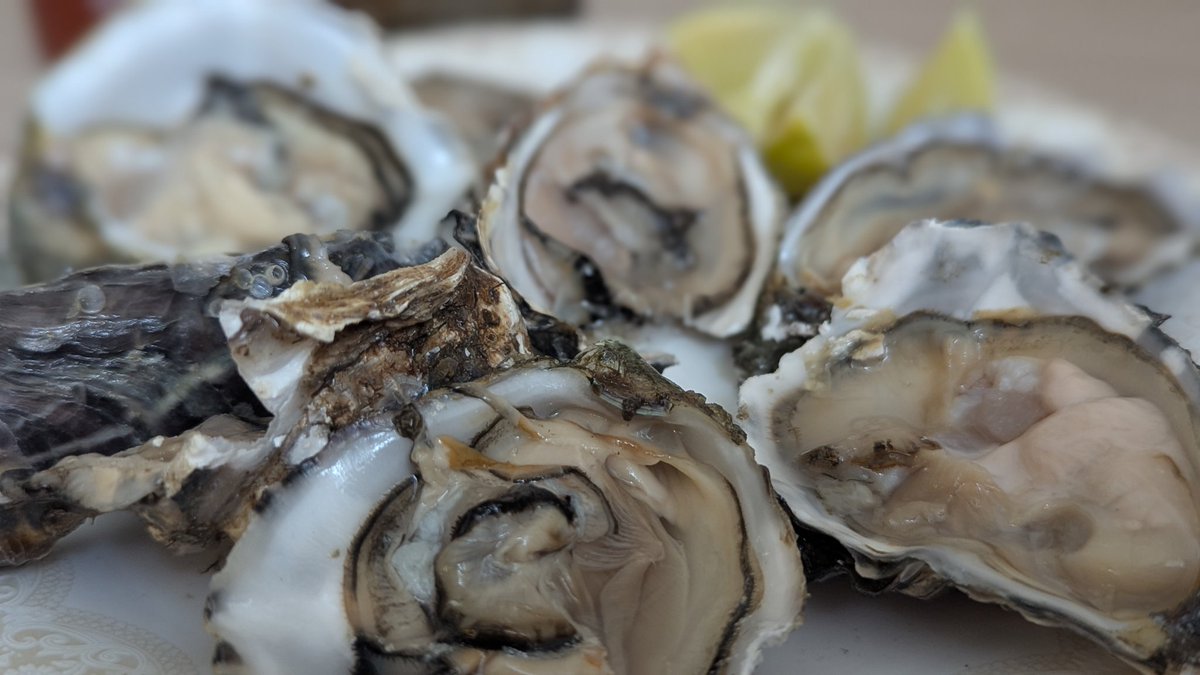 Добор белка