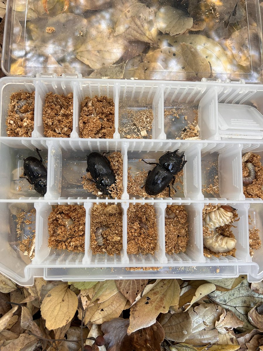 女女女。ふざけ‼️