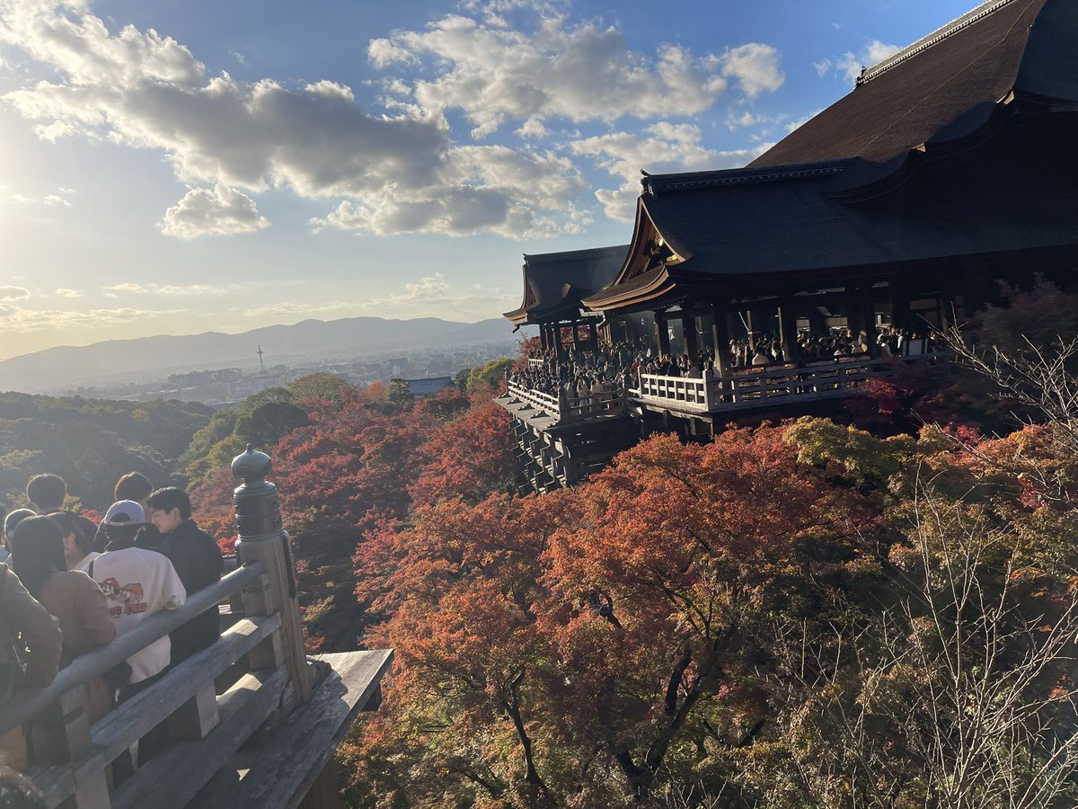kakitopeanuts's tweet photo. 紅葉爆吹きしてて最高らった！ https://t.co/I0n7vmLoZE