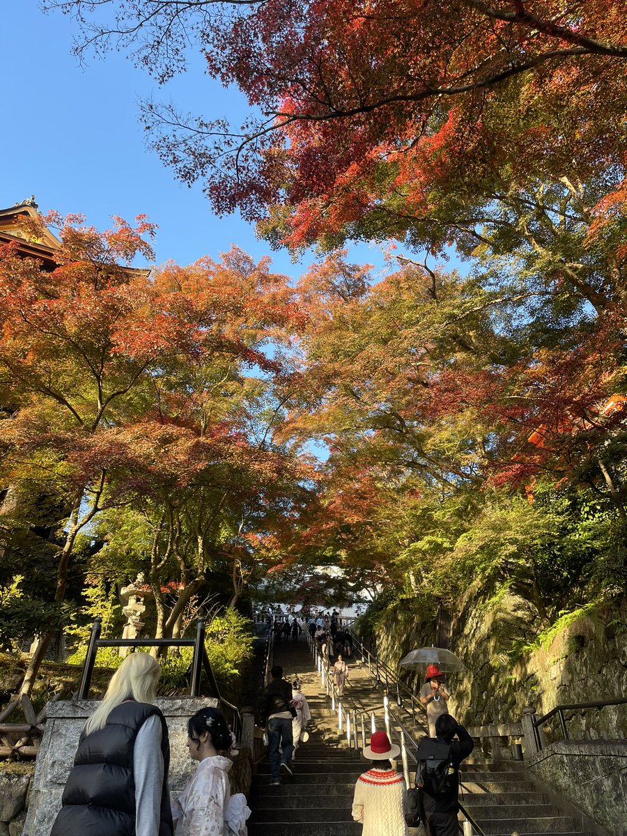 kakitopeanuts's tweet photo. 紅葉爆吹きしてて最高らった！ https://t.co/I0n7vmLoZE