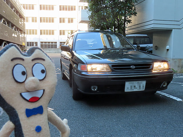 ふらっと☆ぶらっと tweet media