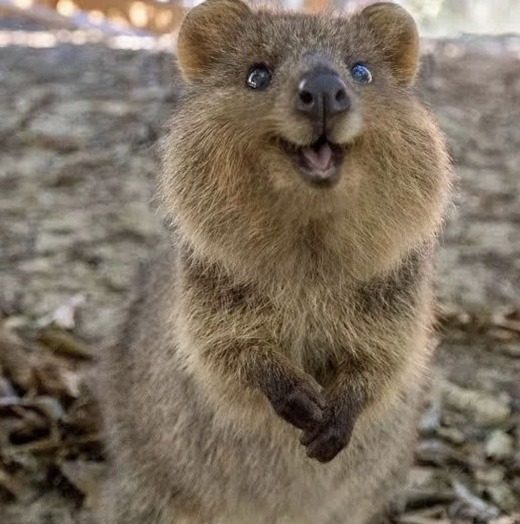 Tom Holland tweet media