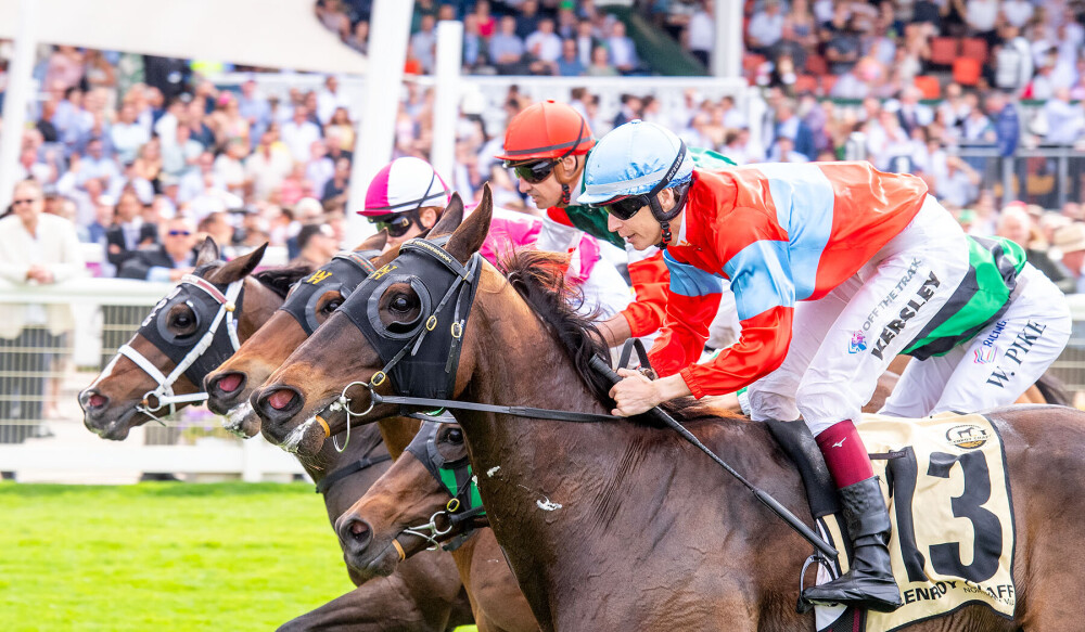 PerthRacing's tweet photo. Simply too good! 

Fred Kersley lifts Simply to victory in the $125,000 Listed Glenroy Chaff-A.J. Scahill Cup at Ascot Racecourse. A tough battle to the line, but the Grant &amp; Alana Williams-trained 5YO found plenty when it mattered. 🏆🐎

📸 @WesternRacepix https://t.co/UtKSStCPoK