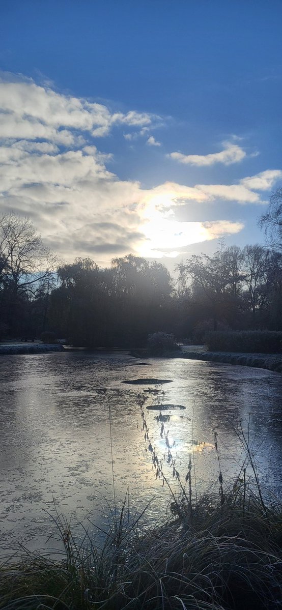 USiebmann's tweet image. Ein schönen Samstag morgen an euch