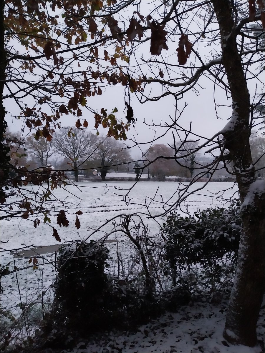 “Si éclairants soient les grands textes, ils donnent moins de lumière que les premiers flocons de neige.”
Christian Bobin
Un petit coin de #Bourbonnais
Bonne journée ❄️
