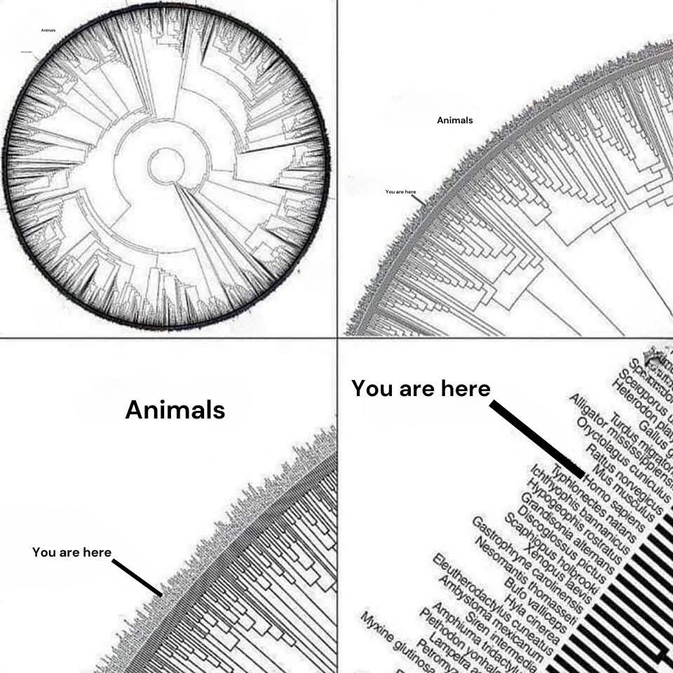 ShiningScience's tweet image. 🧬 This is the Tree of Life: 2.3 million species connected through 3.5 billion years of evolution.

In a remarkable feat of biological mapping, scientists have created the first digital Tree of Life connecting 2.3 million named species across 3.5 billion years of evolution.…