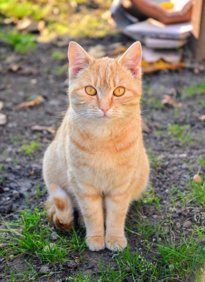 今日は早く寝よ〜してからいい一日になりますように 🌸
