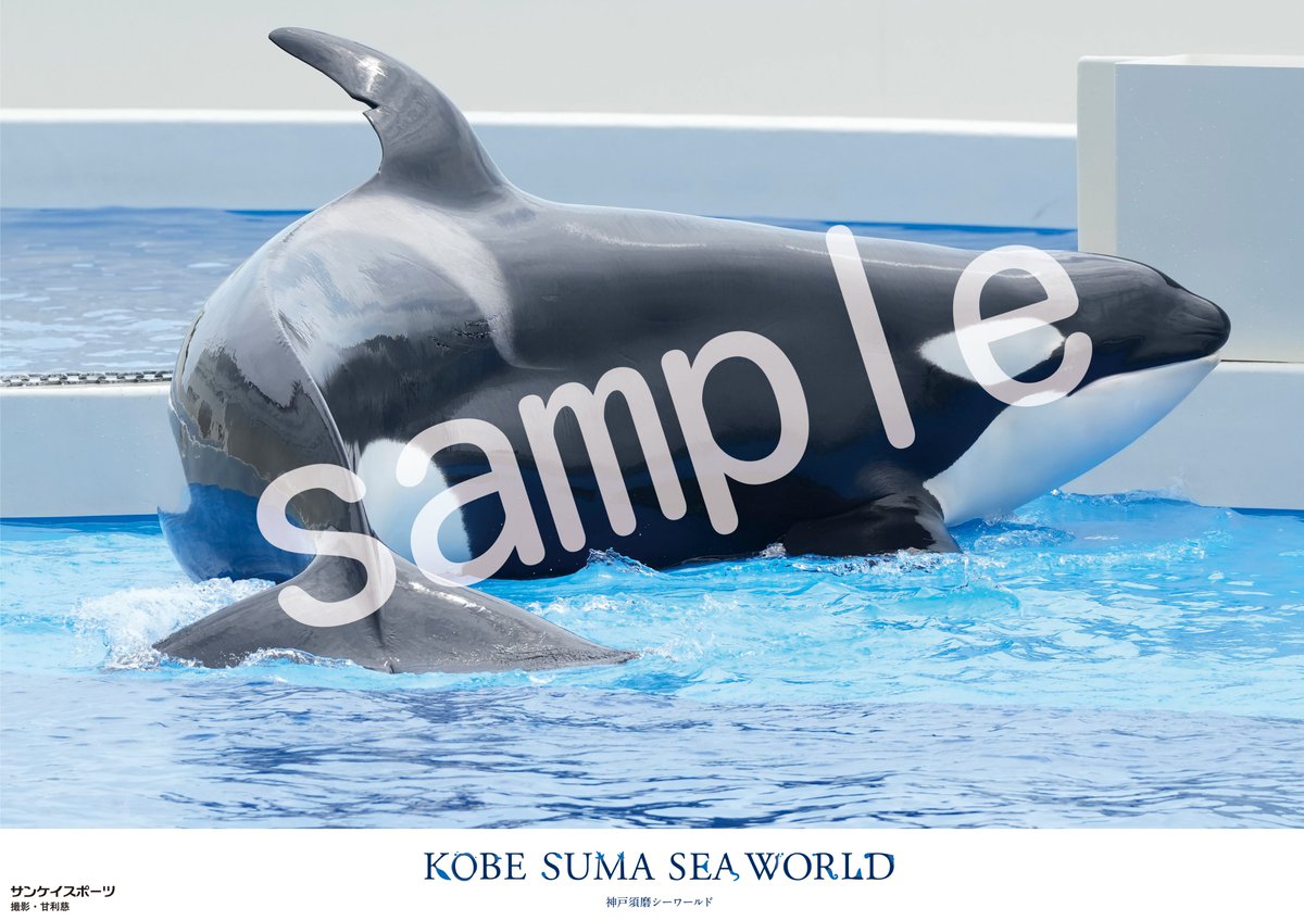 神戸須磨シーワールド のコンビニプリント11月25日発売の第25弾