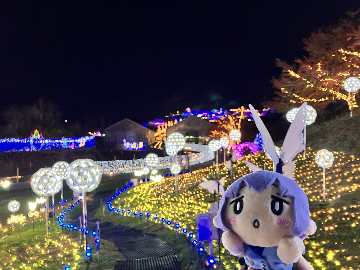 イルミネーション🎄✨