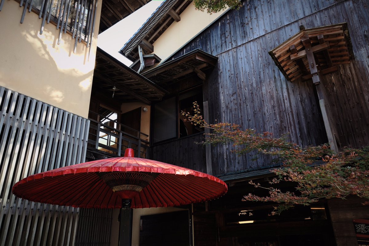 reject_dispute's tweet image. 見頃ではあったんですが紅葉微妙だったので早々に別の場所へ🙃
#realme #GT8pro #RICOH