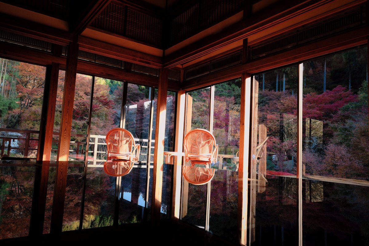 reject_dispute's tweet image. 見頃ではあったんですが紅葉微妙だったので早々に別の場所へ🙃
#realme #GT8pro #RICOH