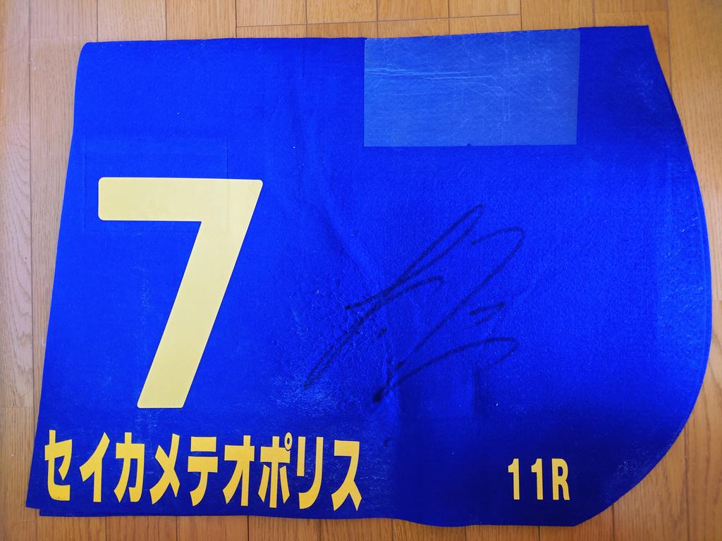 渡邉厩舎ゼッケンプレゼント② セイカメテオポリス号 2024年大井記念の