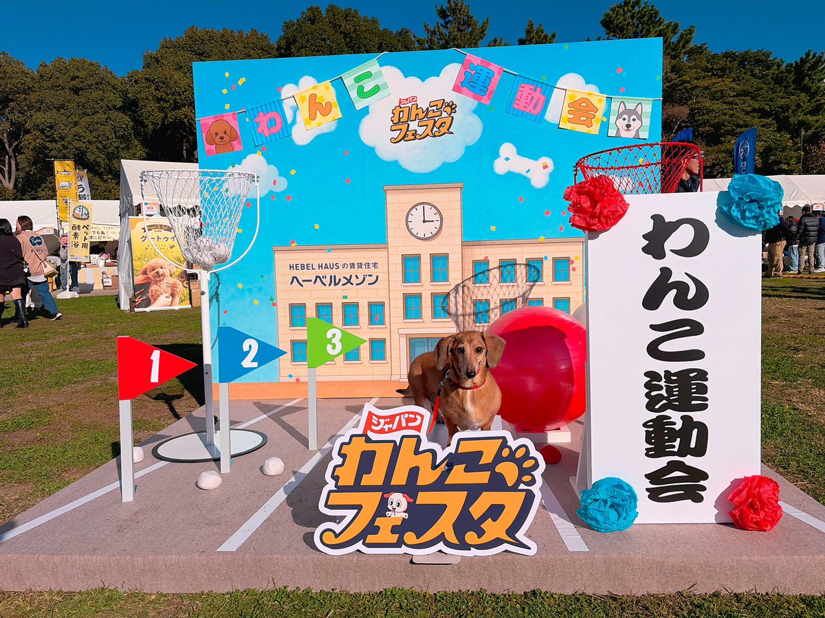 _ALL_time_with_'s tweet photo. #FLAFFY
#ジャパンわんこフェスタ
#お台場
#潮風公園 https://t.co/lH1bXlfyOU