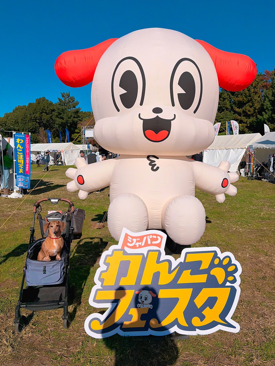 _ALL_time_with_'s tweet photo. #FLAFFY
#ジャパンわんこフェスタ
#お台場
#潮風公園 https://t.co/lH1bXlfyOU