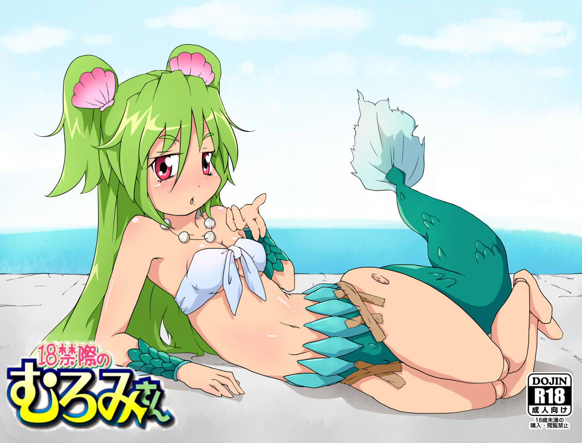 #波打際のむろみさん 