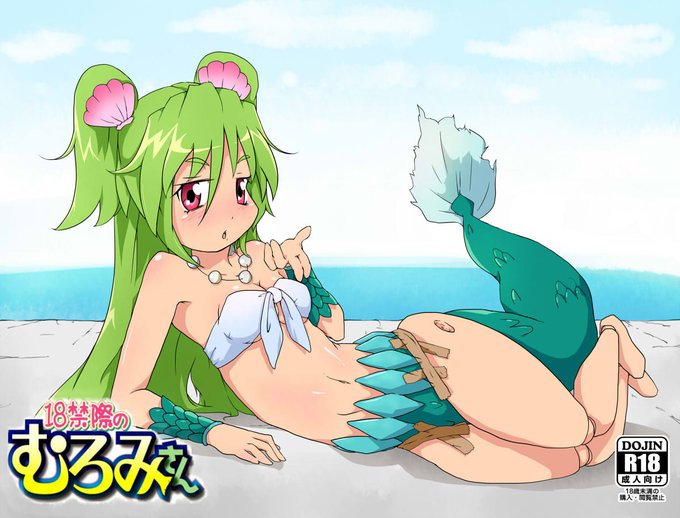 #波打際のむろみさん 