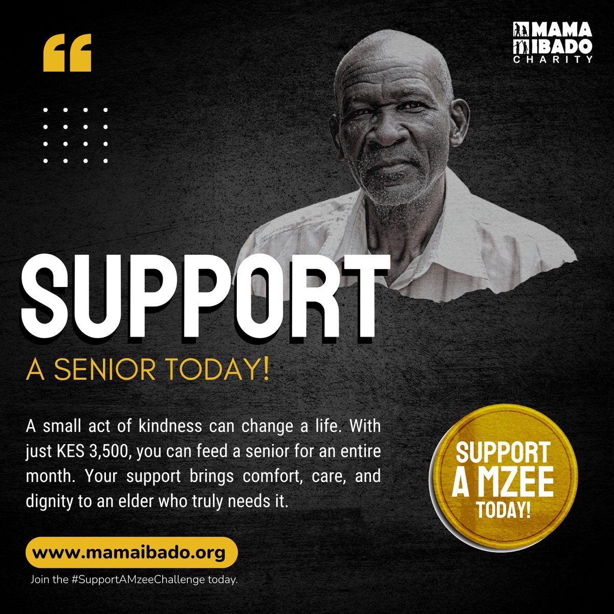 You too can be part of this noble cause. Support a senior’s monthly food basket today by visiting mamaibado.org and help us uphold dignity, one meal at a time.
#SupportAMzeeChallenge