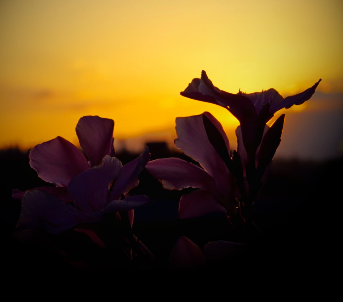 Good morning

#Saturdays