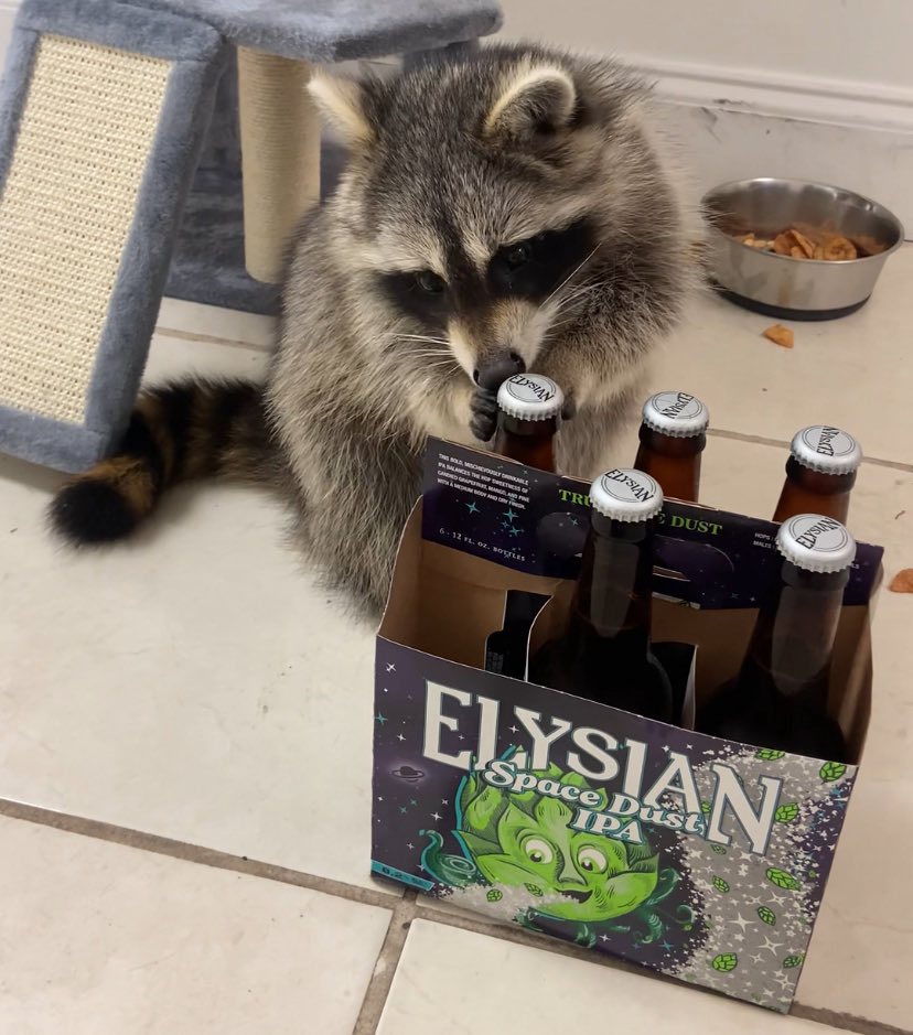 Marko LeveL tweet media