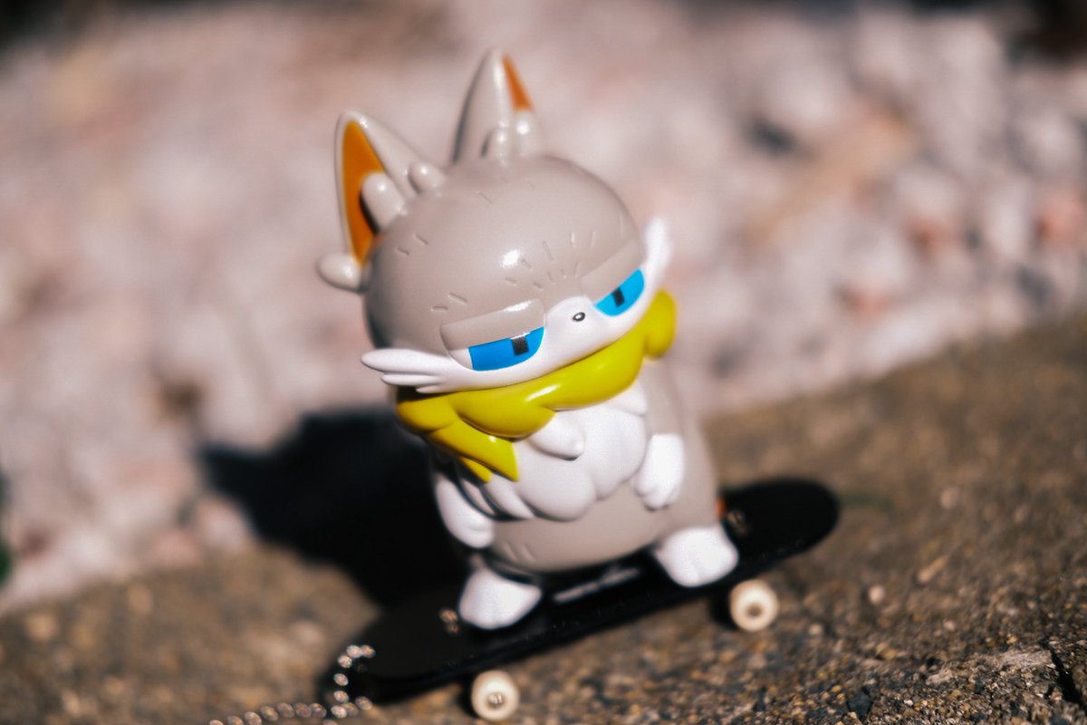 more-cats WTC (@morecats4) / Posts / X