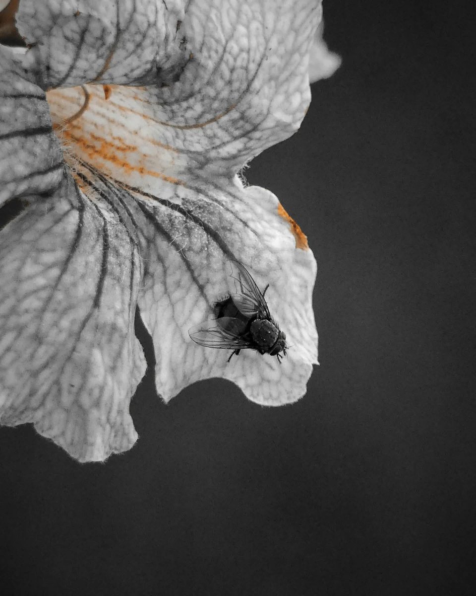 Busca la sencillez, lo cotidiano y hazle fotografías verás como de algo normal surge y se forma la magia de la foto. 
Buenos días !! 
📷