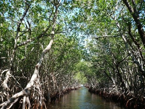 SmesGoals's tweet photo. rt @wef
How building with nature can lead a green recovery for coasts https://t.co/uXR9X81NNw #RaceToZero https://t.co/YMZD3TAd14