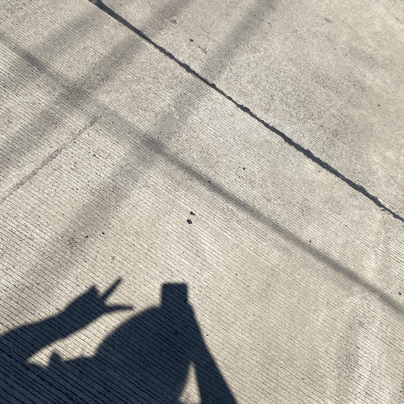 หมูเกรียมๆ คนกากๆ👀⭐️