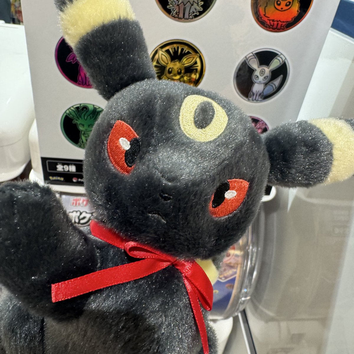 サンダース売り切れ😇 ブラッキーだけお迎えした〜