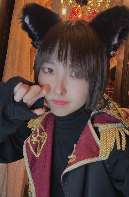 秋葉城ドラキュラ †月下の夜想曲†のツイート