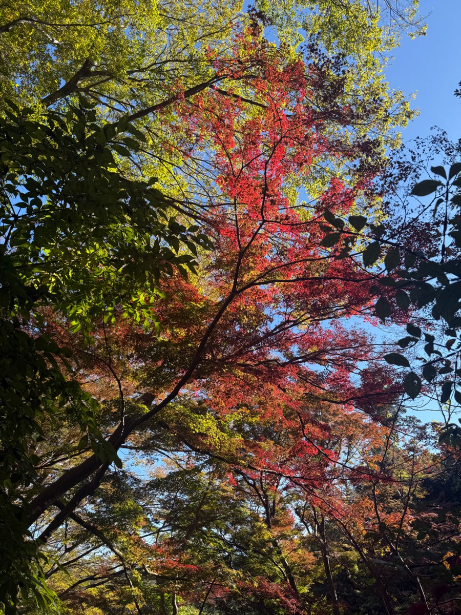 帰ってきたkai (@kai19830912) / Posts / X