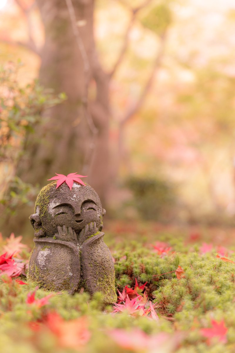 rimaphoto's tweet image. もみじの帽子にほころぶ笑顔