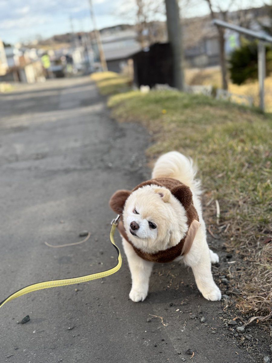 そらちゃんねる (@sorachmofumofu) / Posts / X