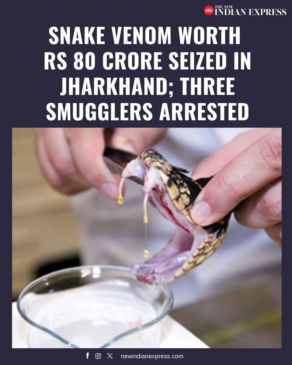 Bihar Snakebite Initiative (BSI) tweet media