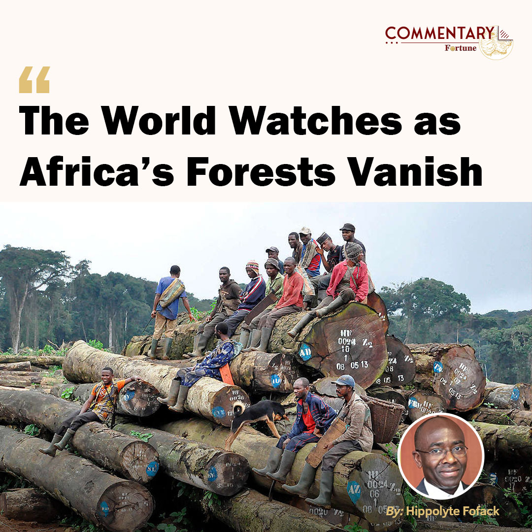 addis_fortune's tweet image. 𝗛𝗶𝗽𝗽𝗼𝗹𝘆𝘁𝗲 𝗙𝗼𝗳𝗮𝗰𝗸: The Congo Basin rainforest, home to nearly 10,000 plant species, 30pc of them unique, absorbs about 1.5 billion tons of carbon dioxide each year. #Deforestation #Forestry #Africa

Read more - shorturl.at/7deMc