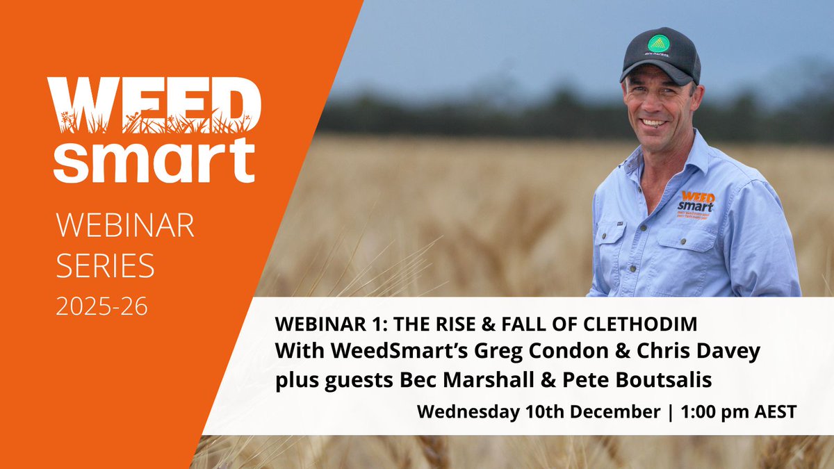 WeedSmartAU's tweet image. 🌱 🚩 Feeling twitchy seeing weeds in the paddock at harvest? Make some time &amp;amp; register for our first webinar in 2025-26 series: The Rise and Fall of Clethodim 🔎 🎧 Register on our events page buff.ly/qgASude