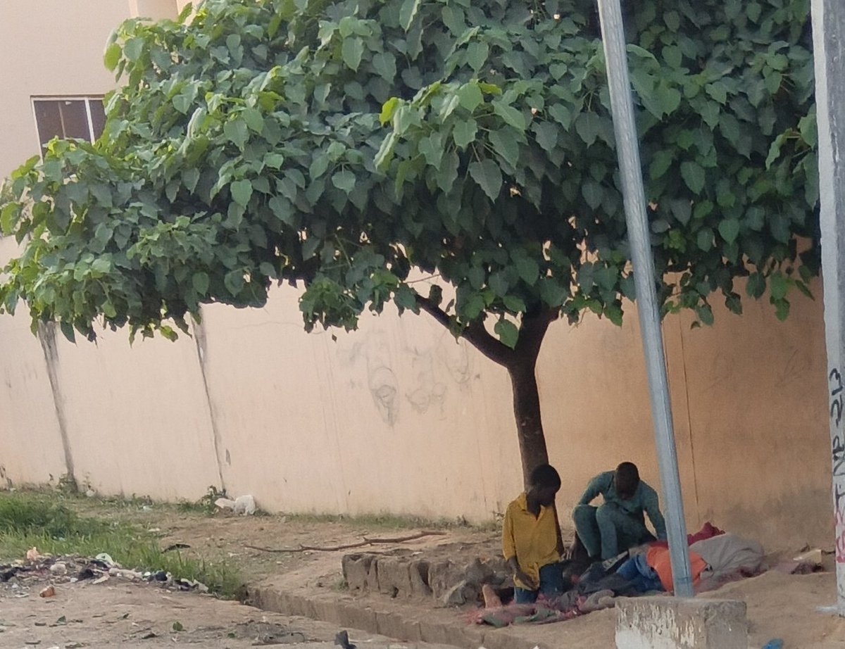 I discreetly took this picture of these kids while coming back from Fajr yesterday.  
They were taking shelter under the tree on a cold morning.
Their parents are hundreds, if not thousands of kilometers away in the warm embrace of each other. 

Their fathers might be ridden of