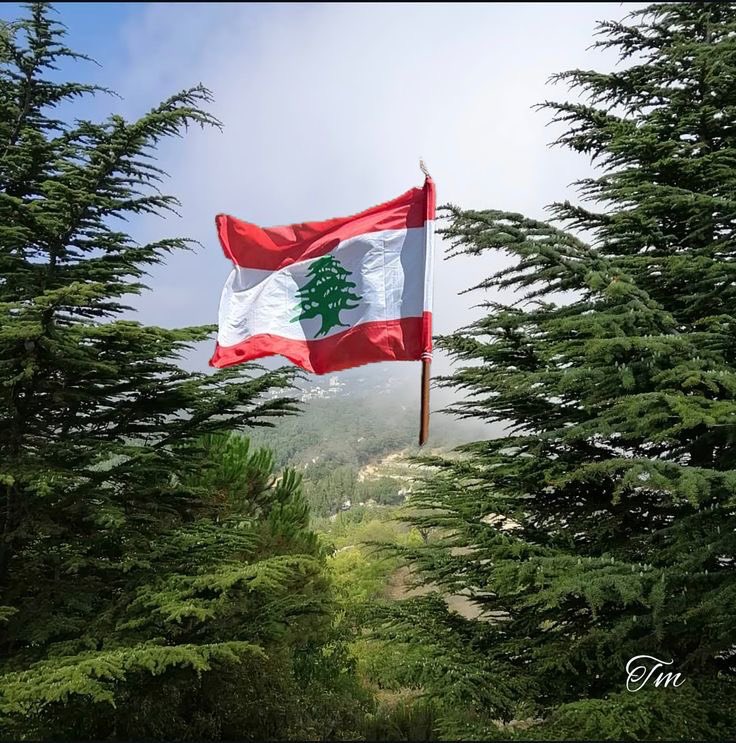 Chiraz333's tweet photo. كل سنة بحبك أكتر من سنة ❤️🇱🇧 https://t.co/tKaGMJYbSD