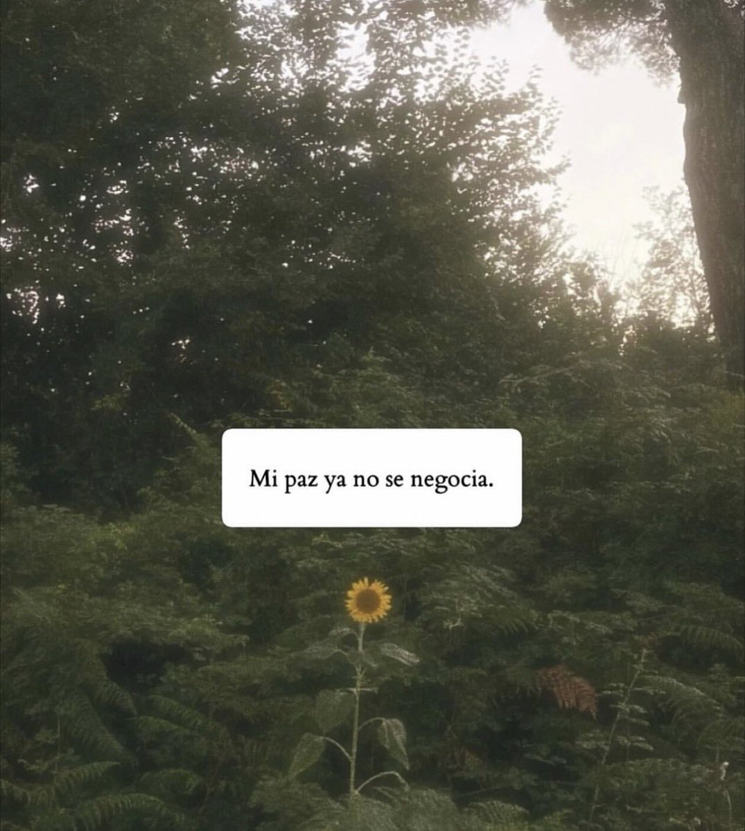 🌙 mini textos (@soyminitextos) on Twitter photo 