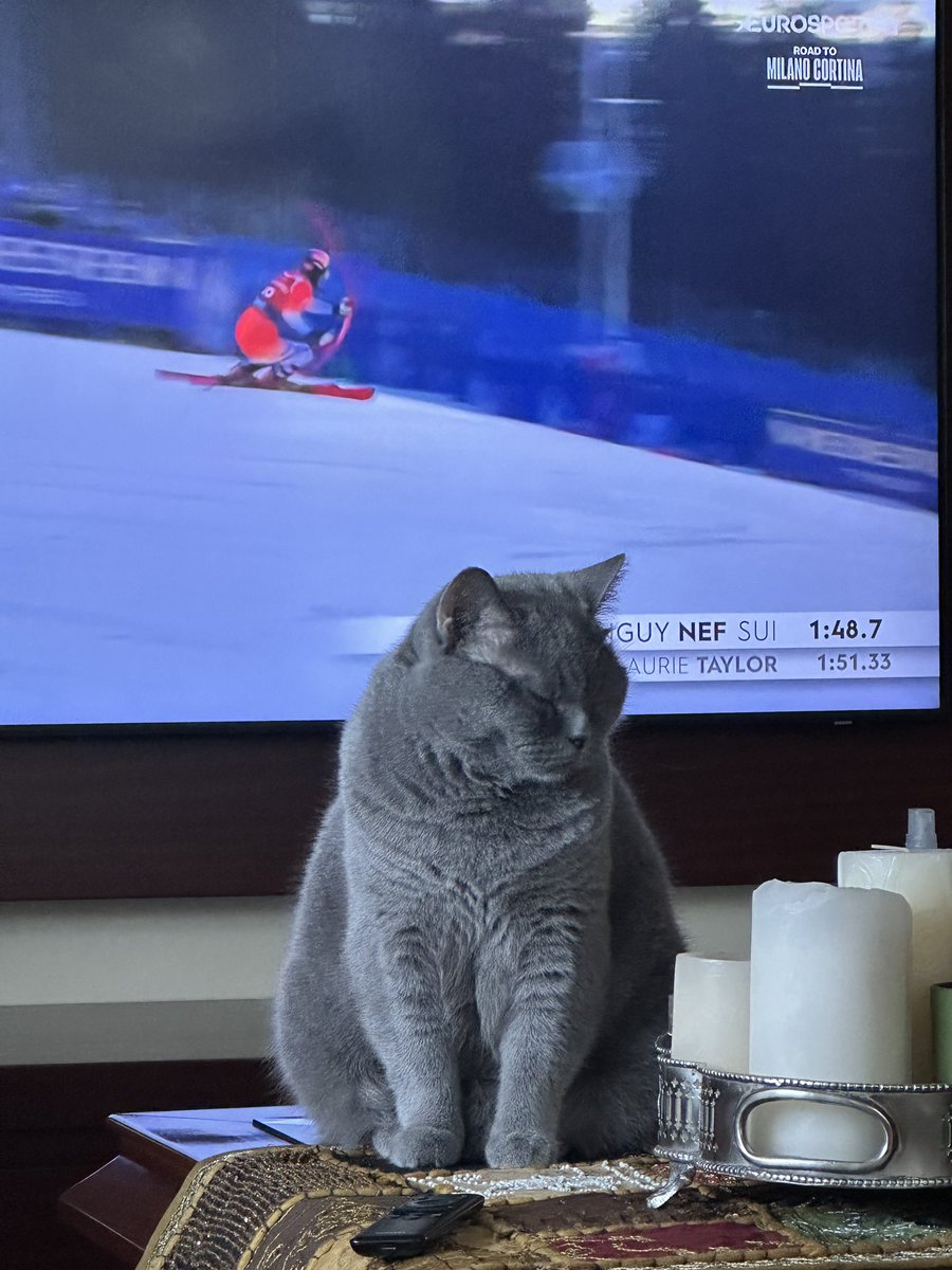 technoauth's tweet image. iyi haftasonları
ne huzurlu gün! kayak ve kedi