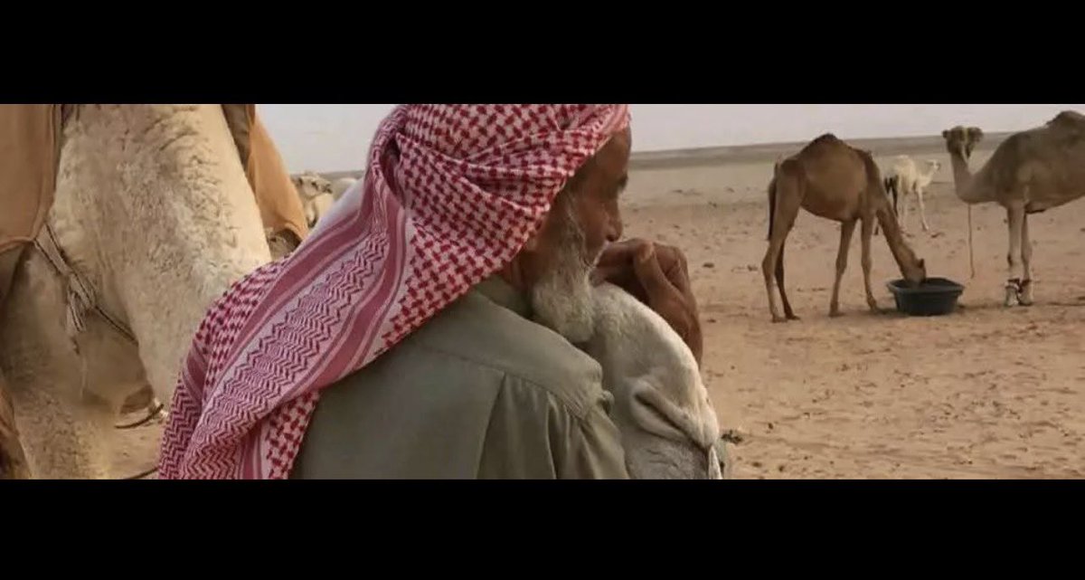 الله يزيل الضيق عن شاكي الضيق
ويعوّض الضايق ... سرور و سعاده 🚶🏻‍♀️.