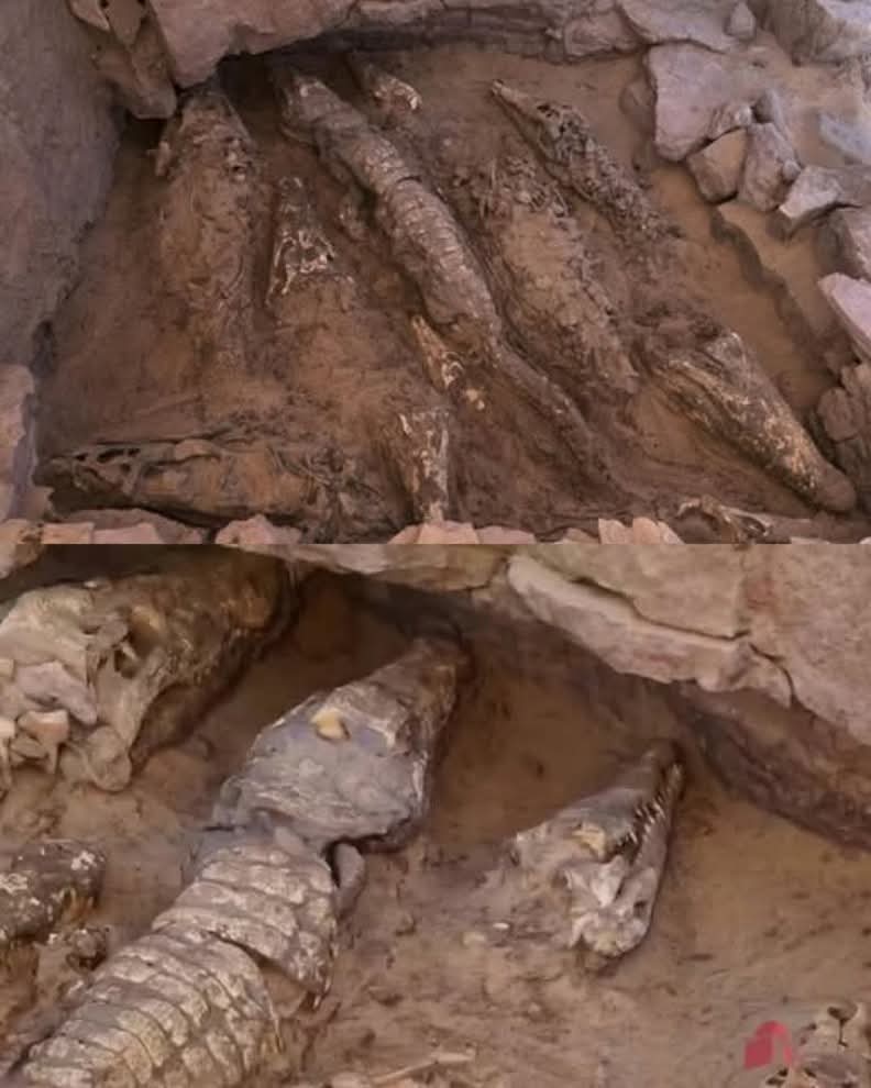 ArchaeoHistories tweet media