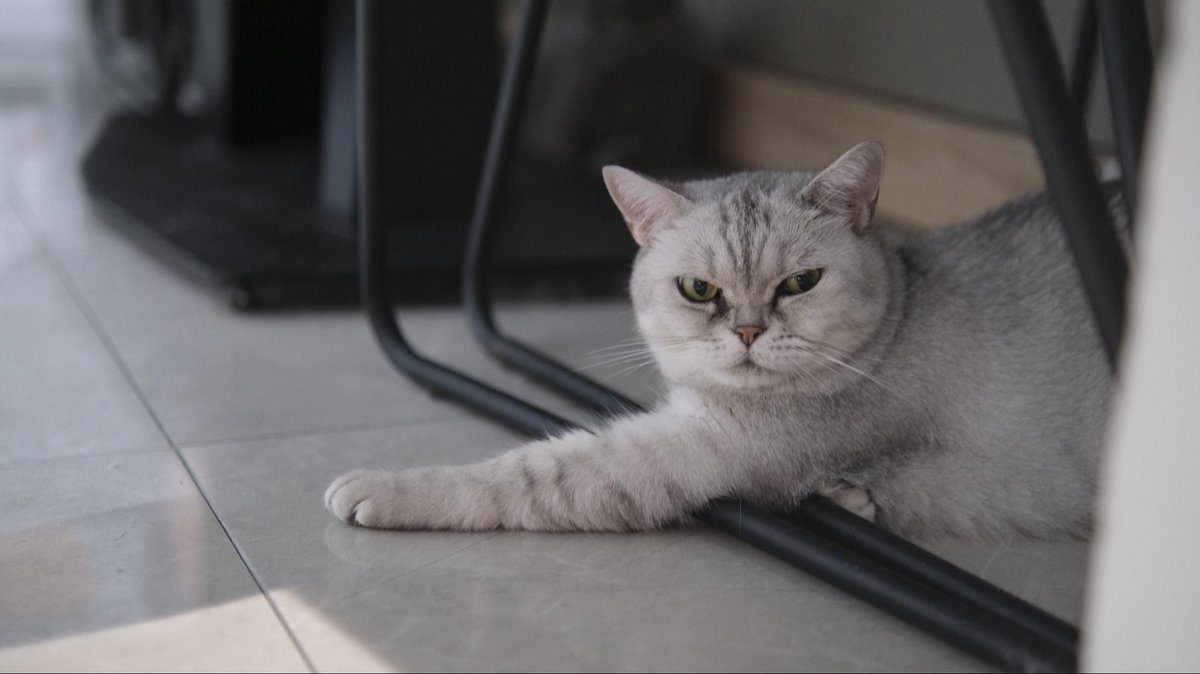 吃啥呢，给我来一口 tweet media