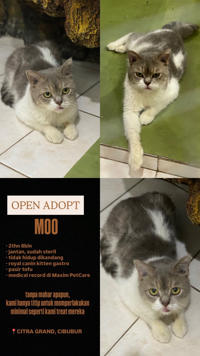 Little Wishmakers💗🪄 tweet media