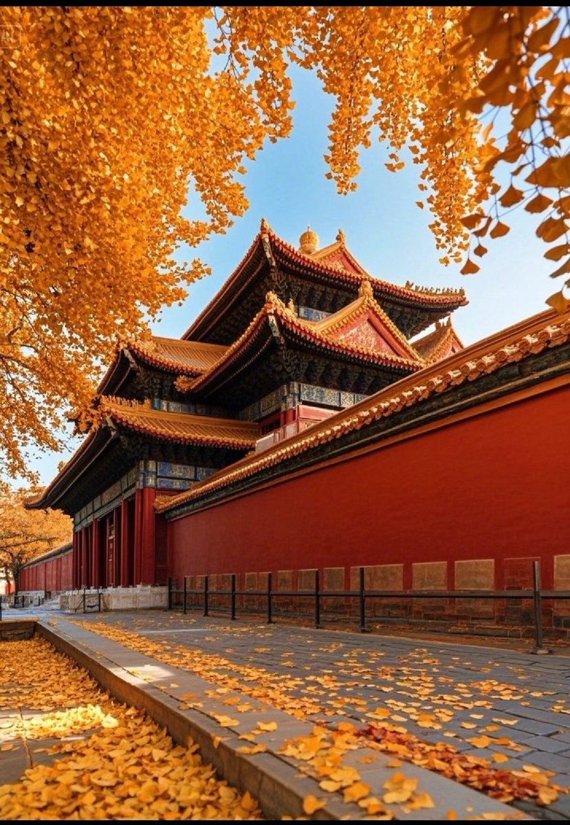 lavine90451045's tweet image. 故宫的秋天太美了 #大美中国