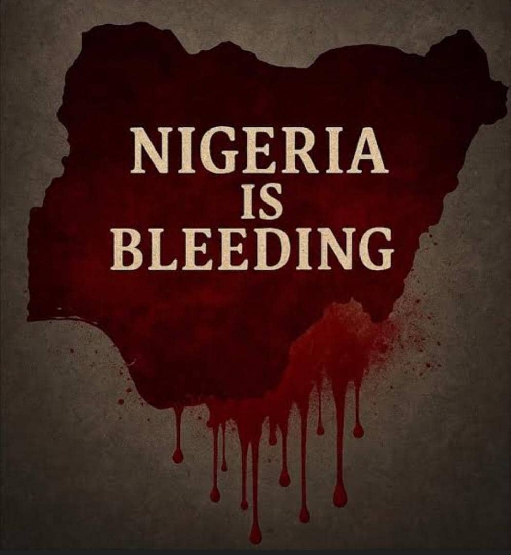 Hephzibahnation's tweet photo. Nigeria MUST work. But only bold leadership can save us from a point of no return.

#NigeriaDecides #PDP2027 #PeaceSecurityUnity https://t.co/N25y0WlhOT