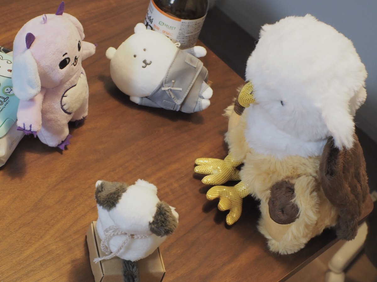 家帰ったら会合開かれてた🧑‍💻くまのやる気のなさ