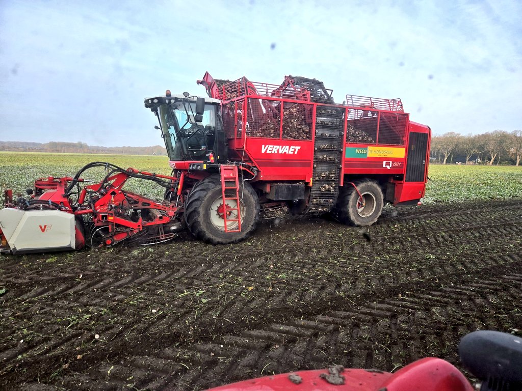 Weer een dagje bieten rooien.