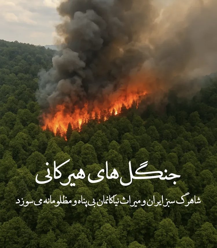 Farhadgol60's tweet photo. The Hyrcanian forests are a heritage of the land of Iran 

These ancient, million year old forests are not just trees. They are the breath of the land, the memory of our ancestors & the gentle home of countless living beings. When they burn, it feels as if a part of Iran’s heart is burning with them.

A loss like this is not only environmental. It is personal, emotional & deeply painful for every Iranian who loves this land.

#Iran #جنگل‌های_هیرکانی #الیت