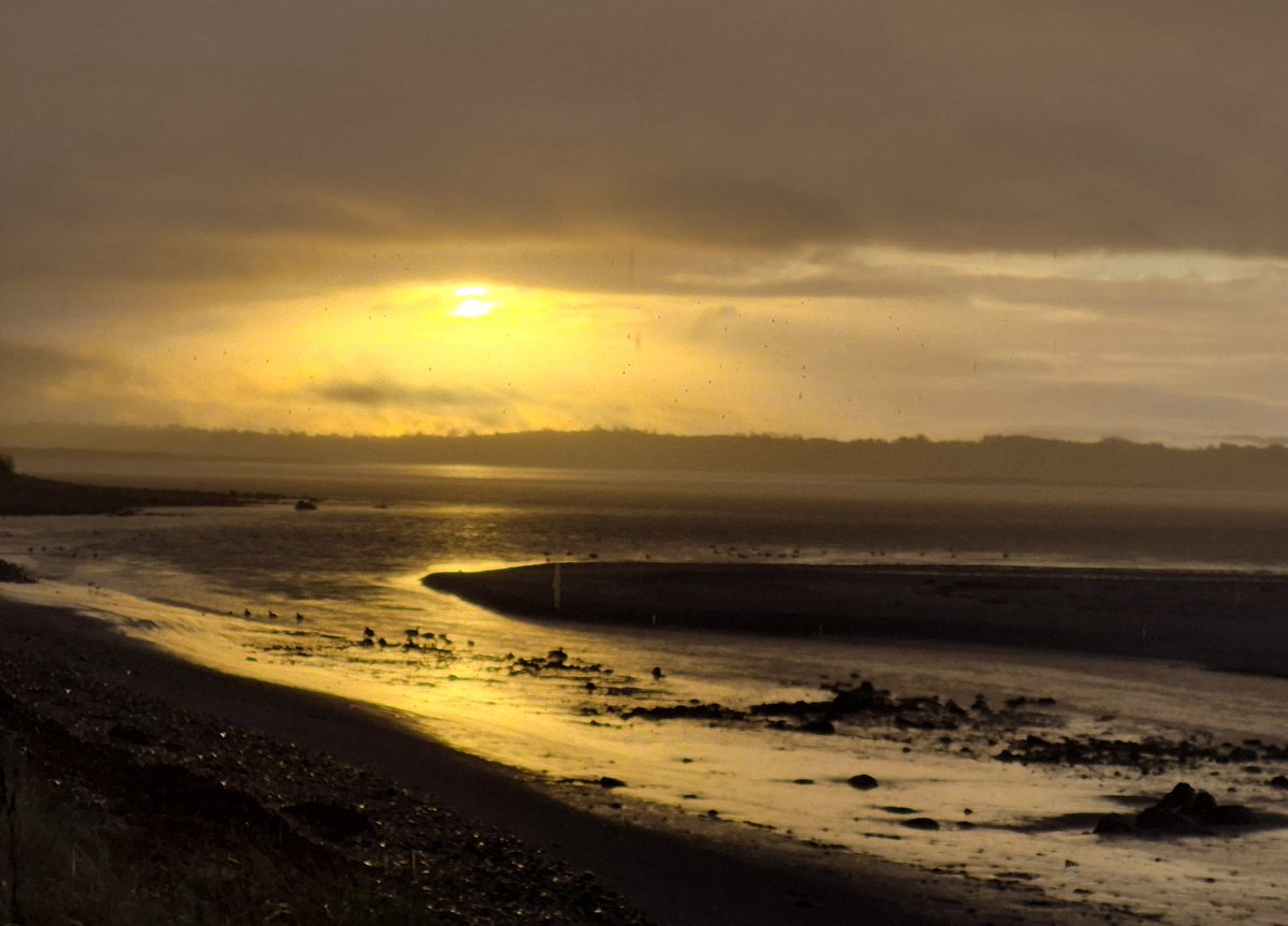 Winter sun through the rain